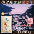 佐賀県産 さがびより 5kg 令和6年産 