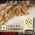 山形県産 つや姫 10kg 令和6年産 特別栽培