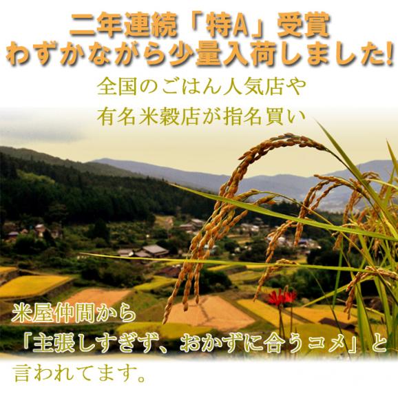 森のくまさん 熊本県産 5kg 送料無料（一部地域除く）03