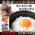 新潟県産 栃尾産 コシヒカリ 10kg 