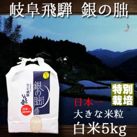 新米 銀の朏 岐阜県 飛騨産 ぎんのみかづき 特別栽培 いのちの壱 令和5年産 5kg