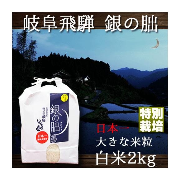 新米 銀の朏 岐阜県 飛騨産 ぎんのみかづき 特別栽培 いのちの壱 令和5年産 2kg01