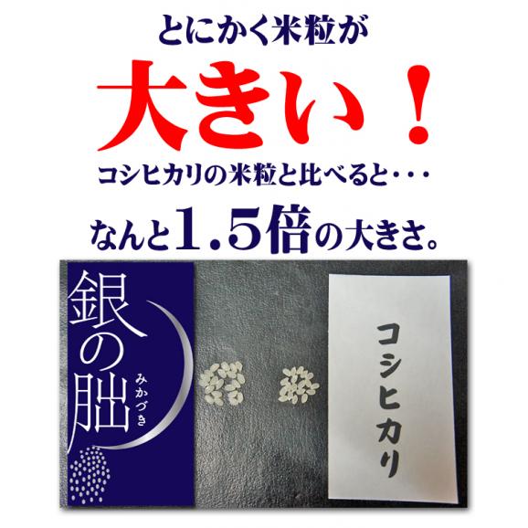 新米 銀の朏 岐阜県 飛騨産 ぎんのみかづき 特別栽培 いのちの壱 令和5年産 2kg03