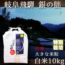 新米 銀の朏 岐阜県 飛騨産 ぎんのみかづき 特別栽培 いのちの壱 令和5年産 10kg