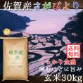 玄米 佐賀県産 さがびより 30kg 令和6年産 