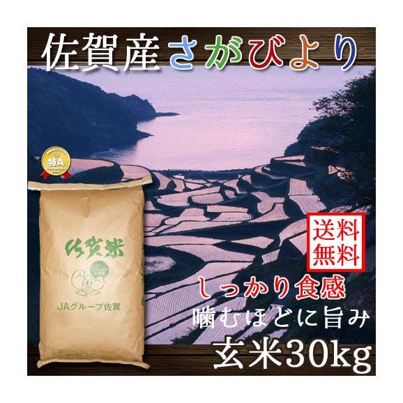 玄米 佐賀県産 さがびより 30kg 令和6年産 |米問屋 蔵之助の 玄米 佐賀県産 さがびより 30kg 令和6年産 |米問屋 蔵之助の