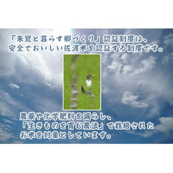 朱鷺と暮らす郷 新潟県 佐渡産 コシヒカリ 5kg 特別栽培 令和4年産03