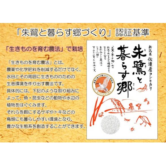 朱鷺と暮らす郷 新潟県 佐渡産 コシヒカリ 5kg 特別栽培 令和4年産06