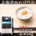 玄米 ゆめぴりか 北海道 5kg