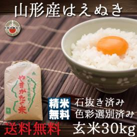 玄米 はえぬき 山形県産 30kg 送料無料 (一部地域除く)