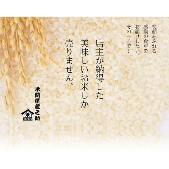 あいちのかおり 愛知県産 10kg  03