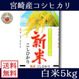 宮崎県産 コシヒカリ 5kg 送料無料 (一部地域除く)