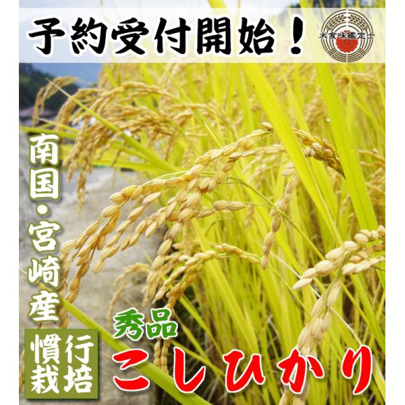 宮崎県産 コシヒカリ 5kg 02