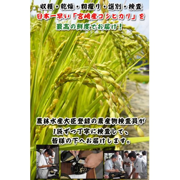 宮崎県産 コシヒカリ 5kg 04