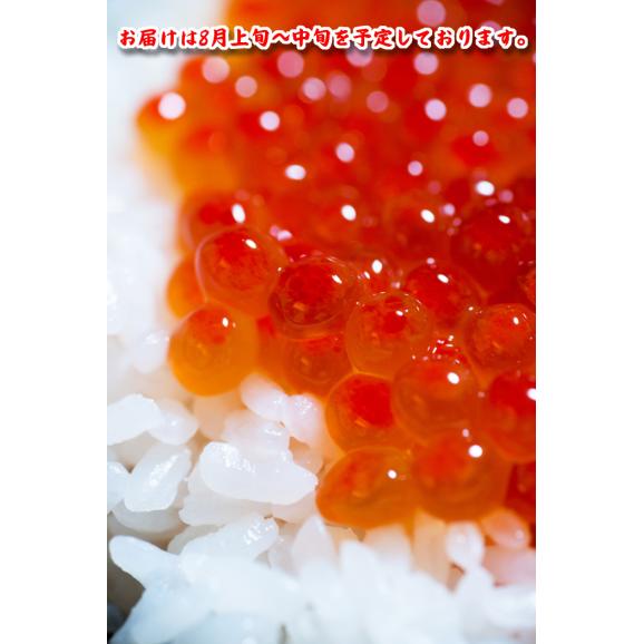 宮崎県産 コシヒカリ 5kg 05