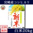 宮崎県産 コシヒカリ 20kg 送料無料 (一部地域除く)