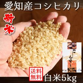 新米 愛知県産 コシヒカリ 5kg 令和5年産 送料無料 (一部地域除く)