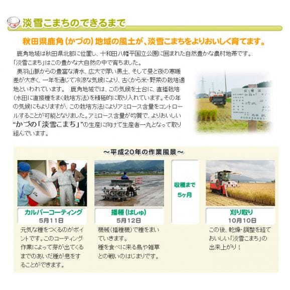 淡雪こまち 秋田県産 JAかづの 2kg 特別栽培米05