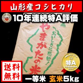 玄米 山形県産 コシヒカリ 5kg 送料無料 (一部地域除く)