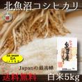 新潟県産 北魚沼 コシヒカリ SAランク 5kg 