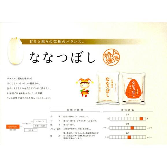 玄米 ななつぼし 北海道 5kg 送料無料 (一部地域除く)06