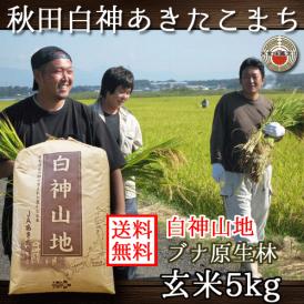 玄米 あきたこまち 秋田県産 白神山地 5kg