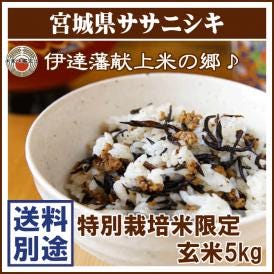 玄米 ササニシキ 宮城県 登米産 5kg  特別栽培 送料無料