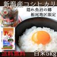 新潟県産 栃尾産 コシヒカリ 5kg 