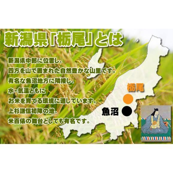 新潟県産 栃尾産 コシヒカリ 5kg 送料無料 (一部地域除く)03