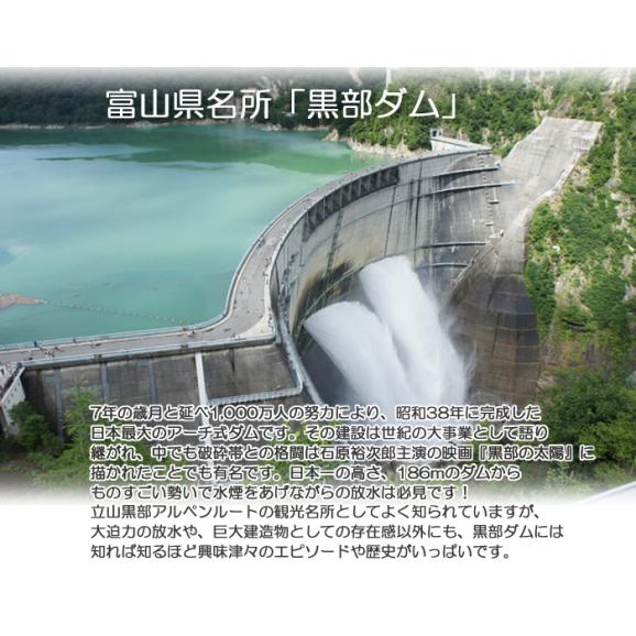 富山県産 コシヒカリ 5kg 令和6年産 06
