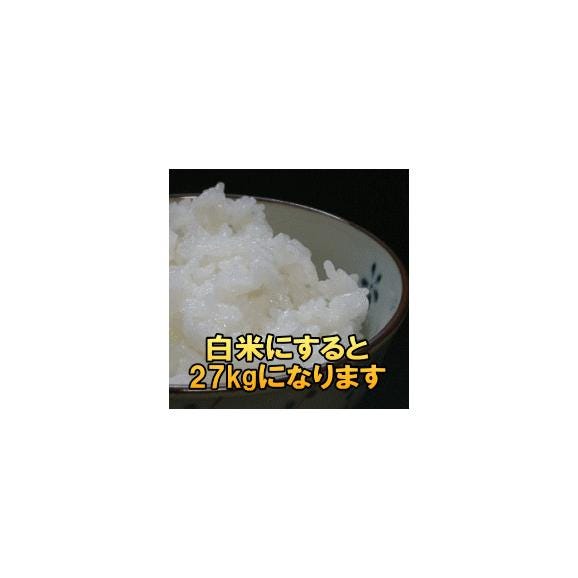 米　新米　送料無料　極上のお米　令和4年産米　お米の全国食味ランキング最高位常連　岩手県南ひとめぼれ玄米30kg　白米にすると27kg03