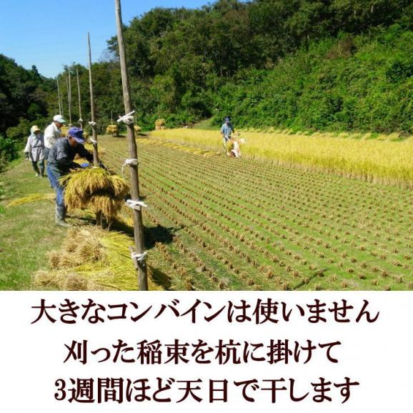 米　天日干し　ひとめぼれ　白米　5kg　送料別　令和5年産米　岩手県産　お米の全国食味ランキング特A常連の極上米06