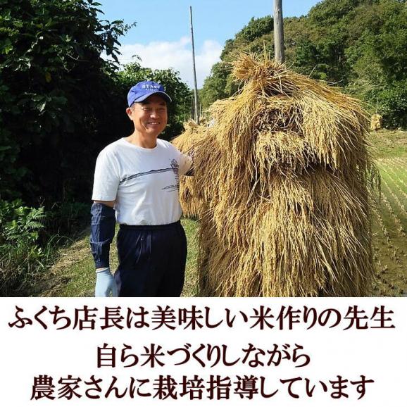 米　天日干し　ひとめぼれ　白米　30kg　送料無料　令和5年産米　岩手県産　お米の全国食味ランキング特A常連の極上米03