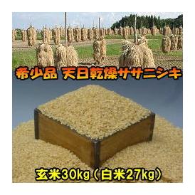 お米　天日乾燥　ささにしき　玄米　30キロ　希少品