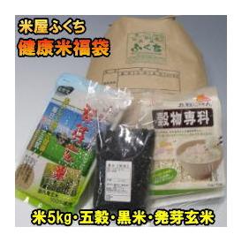 米　送料無料　健康米福袋　お米の全国ランク特A受賞ひとめぼれ5kg・発芽玄米・五穀米・黒米の4点セット