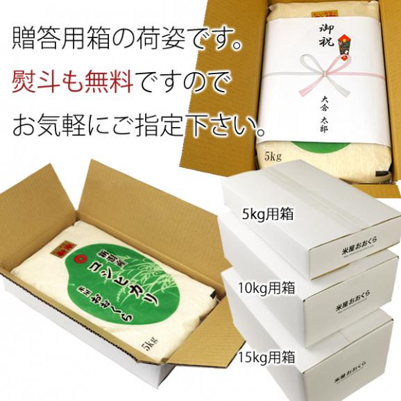 昭和のコシヒカリ （ 新潟県産コシヒカリ ）（ 令和5年産 ） 10kg （5kg×2袋）【 送料無料 （本州のみ）】03