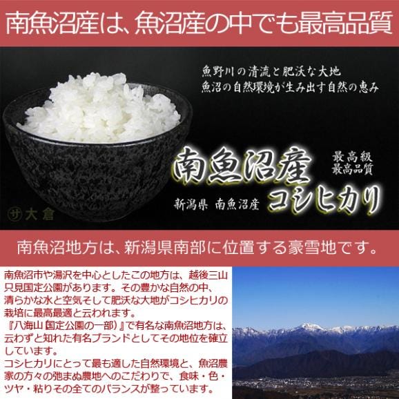 玄米 30kg 南魚沼産 コシヒカリ （ 玄米 ） 令和5年産 2等米 30kg【 送料無料 （ 本州のみ ）】05