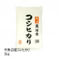 十日町地区限定米 （ 中魚沼産 ） 魚沼産 コシヒカリ （ 令和6年産 ）5kg 【 送料無料 （本州のみ）】