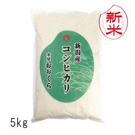 新米 新潟県産 コシヒカリ（ 令和7年産 ） 5kg 【 送料無料 （ 本州のみ ）】
