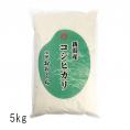 新潟県産 コシヒカリ（ 令和6年産 ） 5kg 【 送料無料 （ 本州のみ ）】