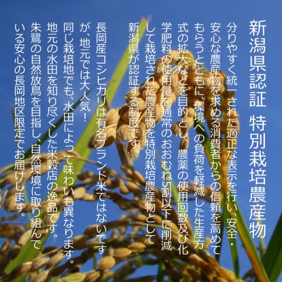 新米 特別栽培米 新潟県産 コシヒカリ （ 長岡産 ）（ 令和7年産 ） 10kg （5kg×2袋）【 送料無料 （本州のみ）】03