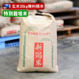 令和7年産 新潟県長岡産 コシヒカリ 玄米30kg 特別栽培米 単一原料米 送料無料（本州のみ）