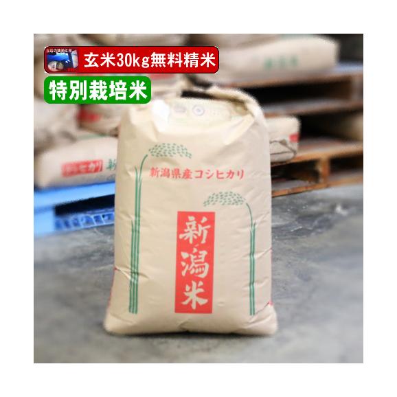 令和7年産 新潟県長岡産 コシヒカリ 玄米30kg 特別栽培米 単一原料米 送料無料（本州のみ）01