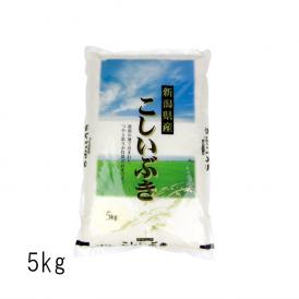 新潟県産 こしいぶき （ 令和6年産 ） 5kg 【 送料無料 （本州のみ）】