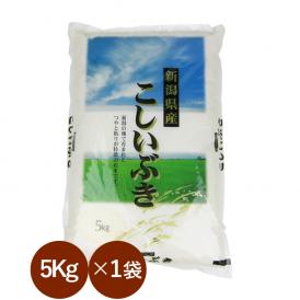 新潟県産 こしいぶき （ 令和7年産 ） 5kg 【 送料無料 （本州のみ）】