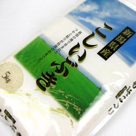 新米 新潟県産 こしいぶき （ 令和7年産 ） 10kg （5kg×2袋）【 送料無料 （本州のみ）】03