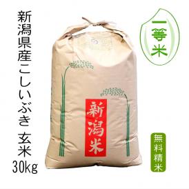 【 一等米 】 米 30kg 新潟県産 こしいぶき 令和5年産 玄米 30kg 送料無料 本州のみ