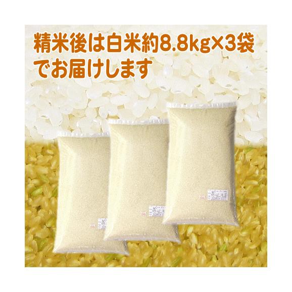 【 一等米 】 米 30kg 新潟県産 こしいぶき 令和5年産 玄米 30kg 送料無料 本州のみ02