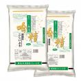 《 無洗米 》 新潟県産 こしいぶき （令和6年産） 10kg （5kg×2袋）【 送料無料 （本州のみ）】