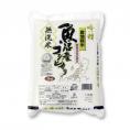 《 無洗米 》 魚沼産 コシヒカリ （令和6年産） 2kg